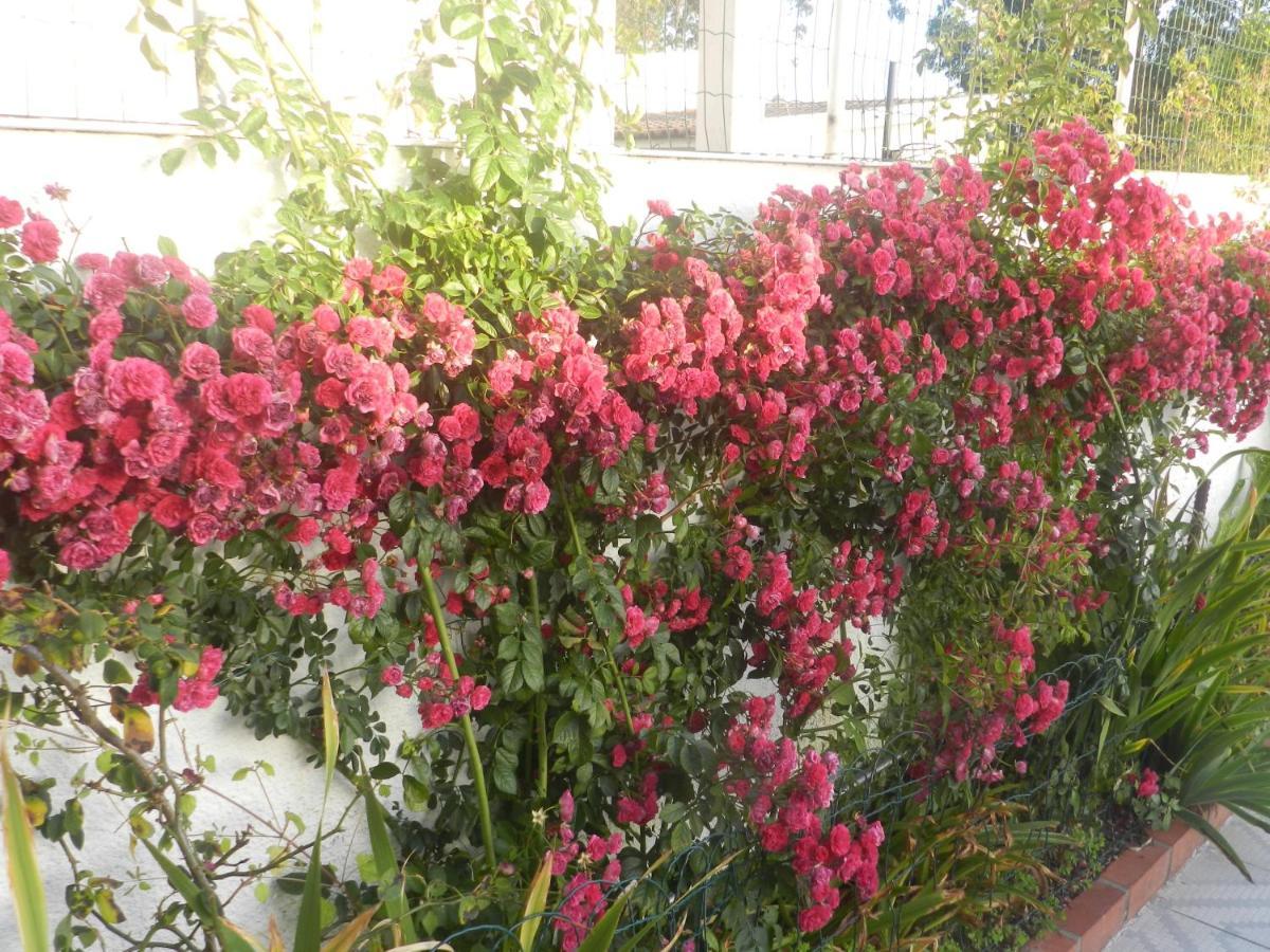 אבאירו Jp Guest House מראה חיצוני תמונה